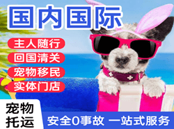 安阳红旗渠航空运输国际宠物托运 【国